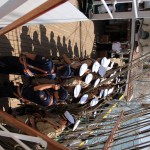regata marii negre 2014 - parada velelor (64)