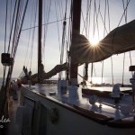 cele mai frumoase fotografii de la regata marii negre 20141