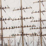 cele mai frumoase fotografii de la regata marii negre 20144